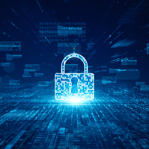 Complete Security Img